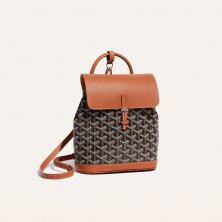 고야드 알핀백 백팩 미니