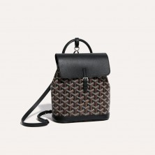 고야드 알핀백 백팩 미니