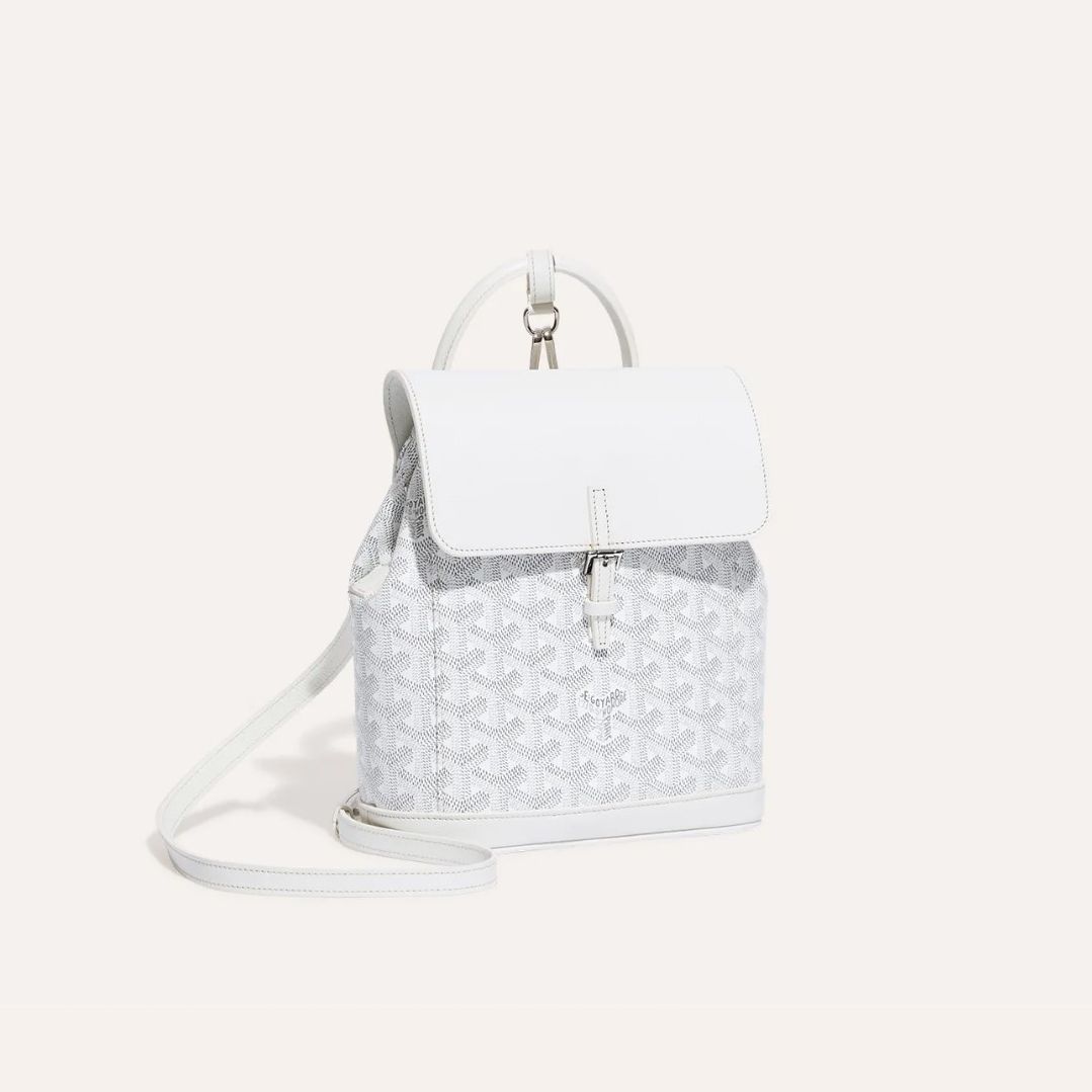 고야드 알핀백 백팩 미니