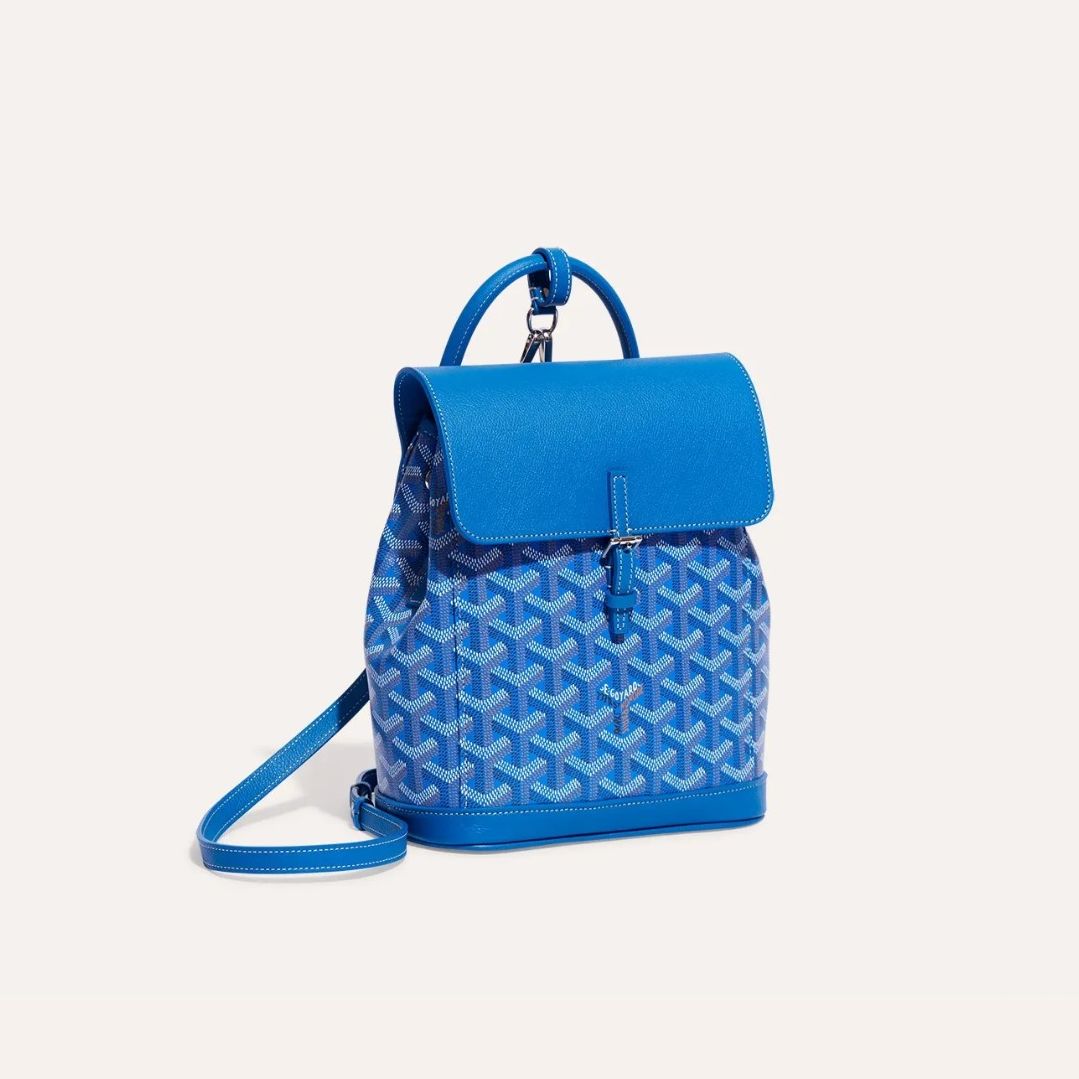 고야드 알핀백 백팩 미니