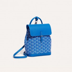 고야드 알핀백 백팩 미니