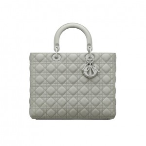 M0566 디올 레이디백 라지