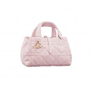 M2822 디올 Toujours 토트백 스몰