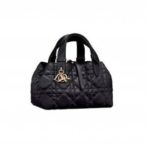 M2822 디올 Toujours 토트백 스몰