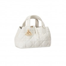 M2822 디올 Toujours 토트백 스몰