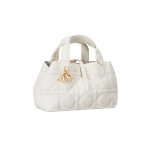 M2822 디올 Toujours 토트백 스몰