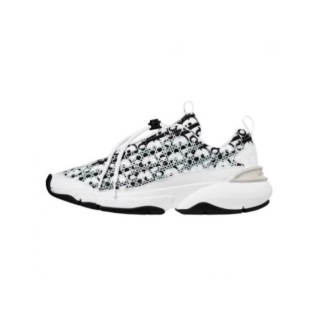 디올 오블리크 B24 스니커즈