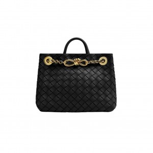 786008 보테가베네타 스몰 체인 안디아모